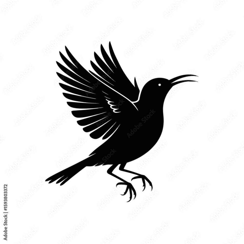 Obraz premium Bird in flight silhouette flying wings