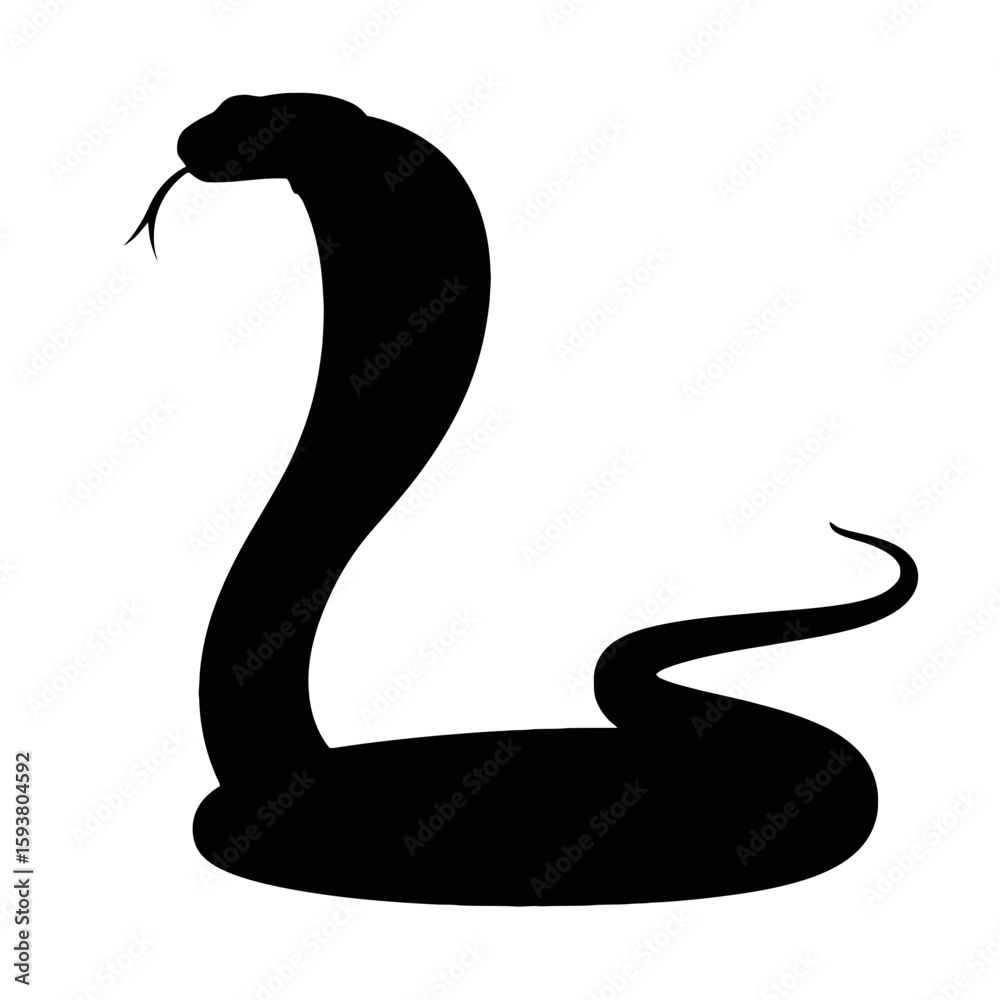 Fototapeta premium Cobra poised to strike snake reptile