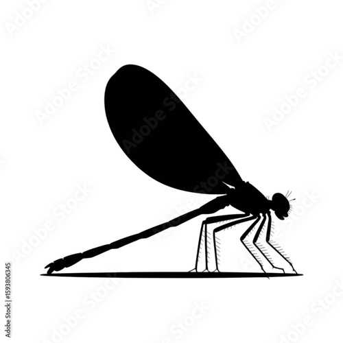Delicate Dragonfly Silhouette insect outline