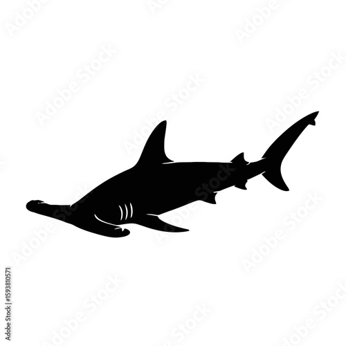 Hammerhead Shark Silhouette marine life ocean