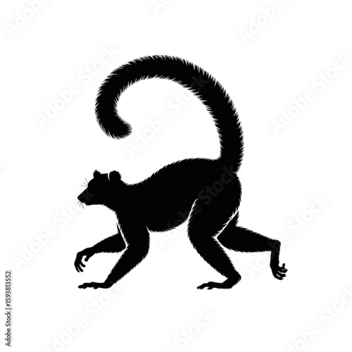 Lemur with Curled Tail primate animal