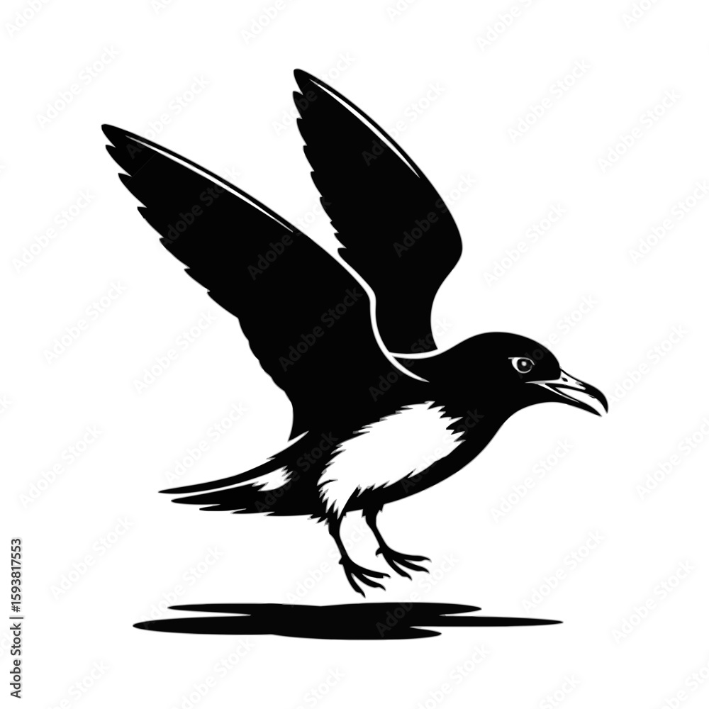 Fototapeta premium Petrel in flight landing bird flying