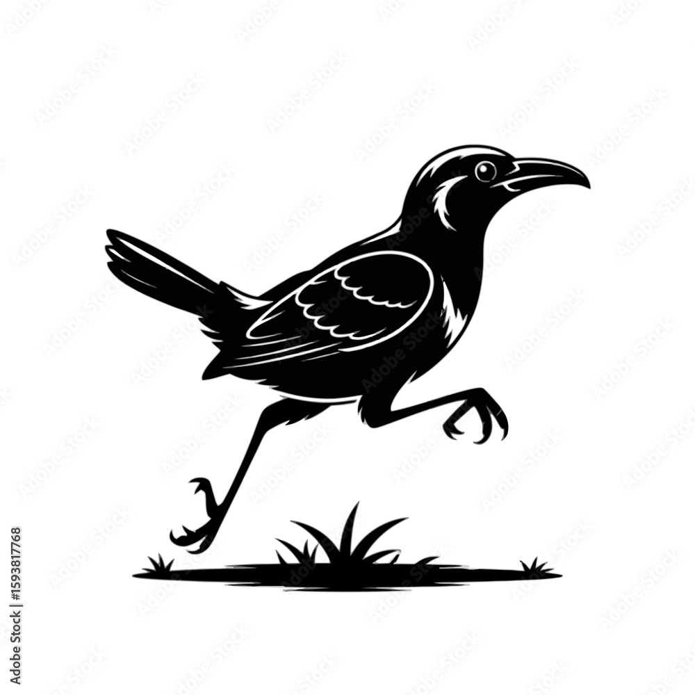 Fototapeta premium Roadrunner Bird Running on Grass walking desert