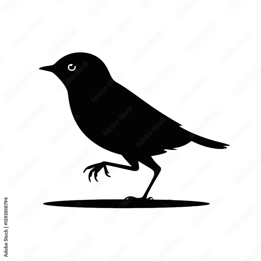 Obraz premium Small Bird Silhouette avian perched