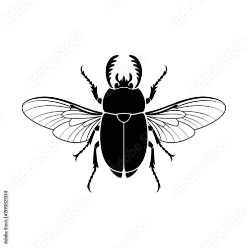 Stag Beetle With Wings Spread insect entomology