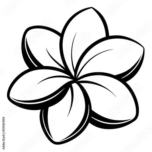 Black and white frangipani or plumeria tropical flower for leis vector icon on white background.