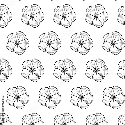 Phlox paniculata flower Seamless Pattern Hand drawn vector line art, Black and White Flower isolated in white. Beautiful design for textile, wallpaper, wrapping paper