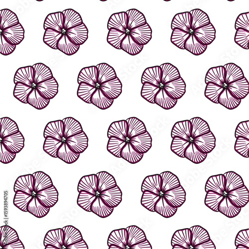 Phlox paniculata flower Seamless Pattern Hand drawn vector line art, Black and Purple Flower isolated in white. Beautiful design for textile, wallpaper, wrapping paper