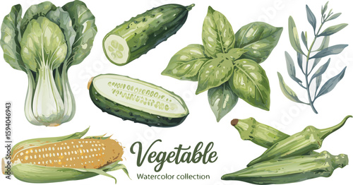 Watercolor Vegetable Collection Bok Choy, Cucumbers, Corn, Basil, Okra, and a Sprig