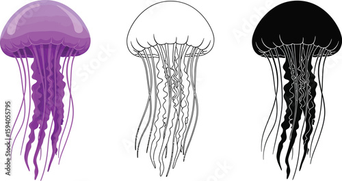 Jellyfish vector illustration set purple black and white jellyfish drawing sea life ocean animal art 100