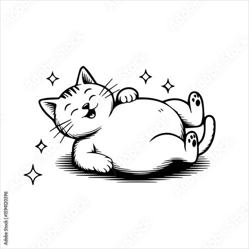 A happy, chubby cat blissfully sprawls on its back, radiating contentment.