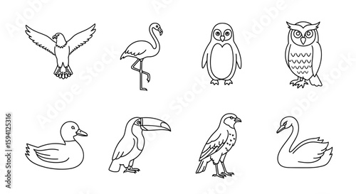 Outlined avian collection featuring eagle, flamingo, penguin, owl, duck, toucan, hawk, and swan icons