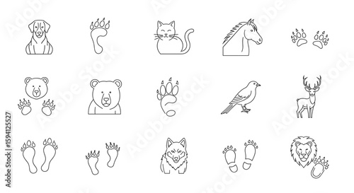 Collection of animal illustrations and footprints featuring dog cat horse bear bird deer wolf lion