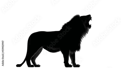 Black Silhouette of a Lion Roaring Powerful Posture on White Background

