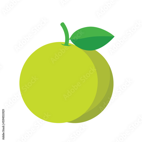 green or yellow pomelo, citrus vector for tropical fruit branding, wellness packaging, and nutrition visuals