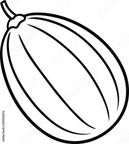 long melon line art, minimalist vector illustration with tapered tip for organic produce, botanical design, and healthy food branding