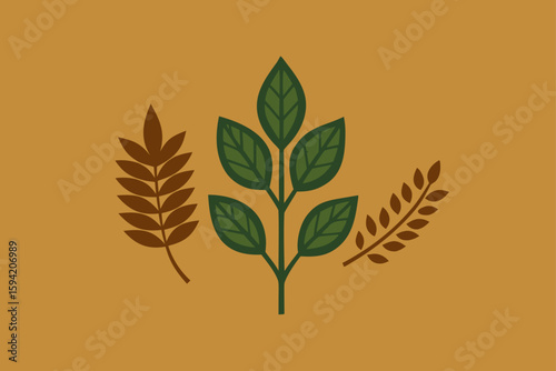 Artisan Pressed Botanicals On Recycled Cardboard Background