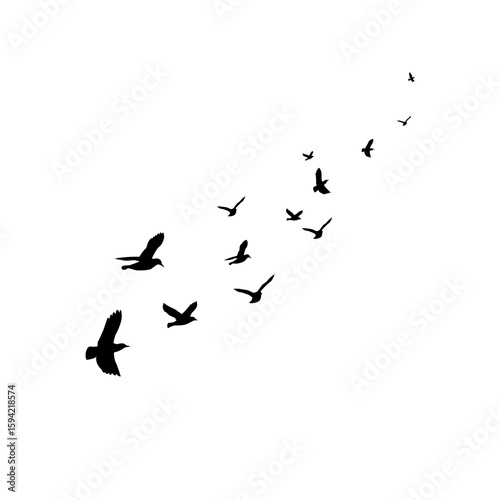 "A vector silhouette set showcasing a flock of birds in flight against a clean white background. Ideal for tattoos, nature-inspired artwork, and minimalist design, this collection captures the grace a