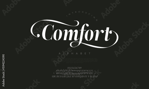 Classy serif font with flowing curves and decorative swashes, great for premium branding and print