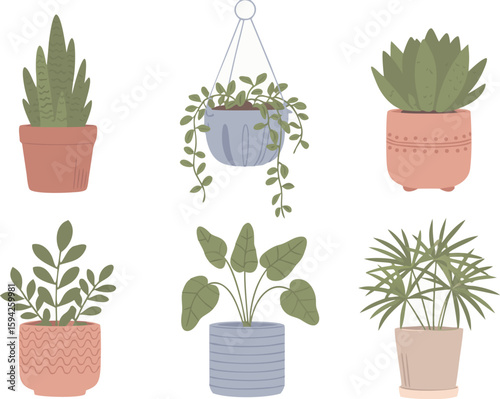 Assorted Potted Houseplants Snake Plant, Hanging Plant, Succulent, Indoor Plants in Decorative Pots