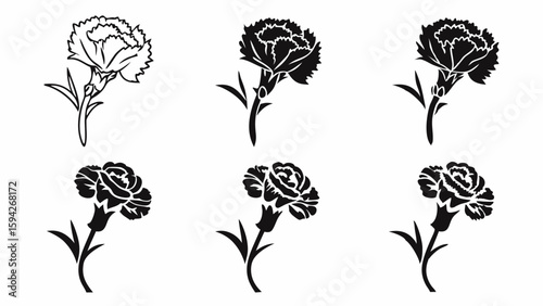 Collection of six carnation flower illustrations in varying styles and black and white color schemes | editable eps vectors silhouette