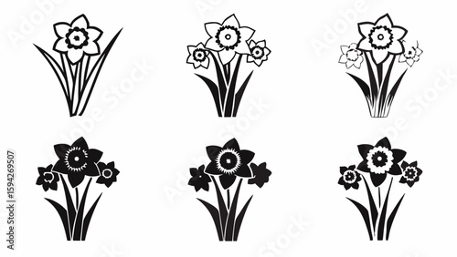 Six daffodil flower arrangements in black and white with varying numbers of blooms and leaf patterns | editable eps vectors silhouette