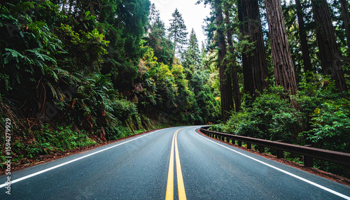 highway surrounded by towering redwood trees in Redwood National and State Parks, California. Peaceful empty road stretches into the lush green forest. Nature travel concept, no vehicles visible
