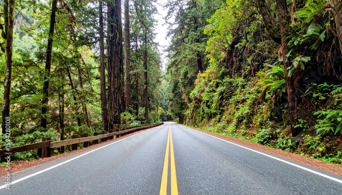 highway surrounded by towering redwood trees in Redwood National and State Parks, California. Peaceful empty road stretches into the lush green forest. Nature travel concept, no vehicles visible