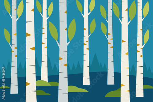 birch grove with light patches and bark detail illustration