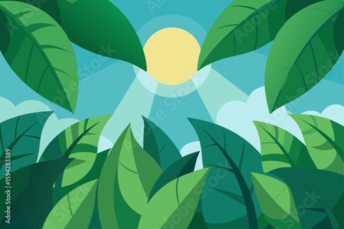 dense leaf canopy with visible sky patches and sun illustration