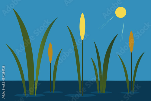 light filtering through reeds in shallow water illustration