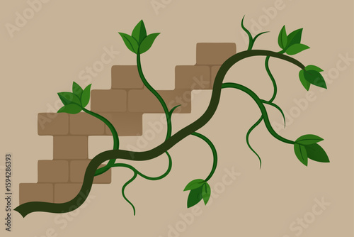 thick vines wrapping around old stone wall illustration
