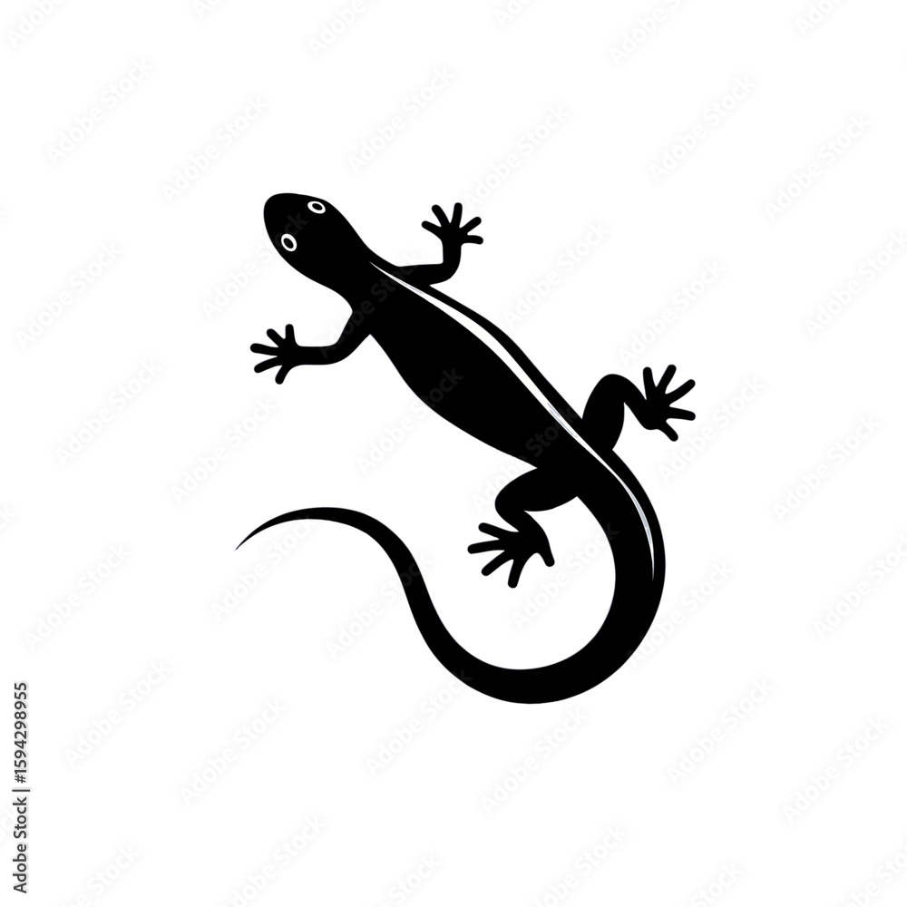 Fototapeta premium Newt lizard on a white background
