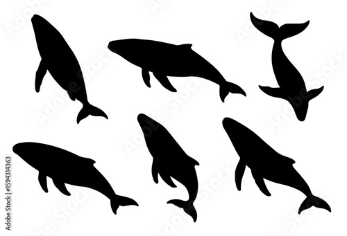 Silhouette set of whale animals and fish in black vector set illustration flat style
