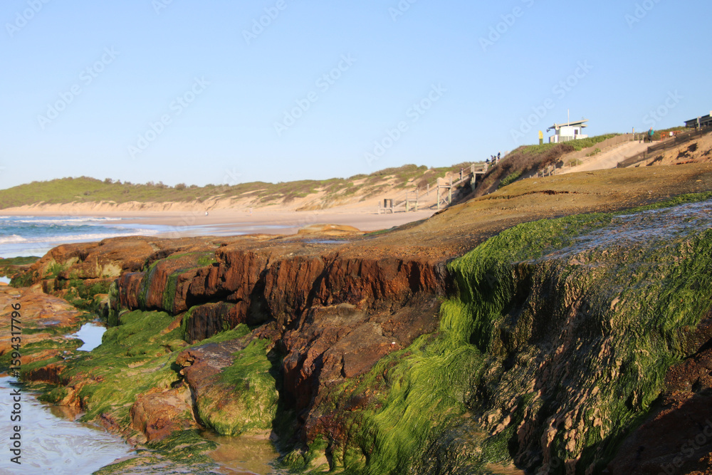 Obraz premium Eroded and weathered rocks at Soldiers Point New South Wales Australia. Eroded rocks on the beach with green algae growing over the rock