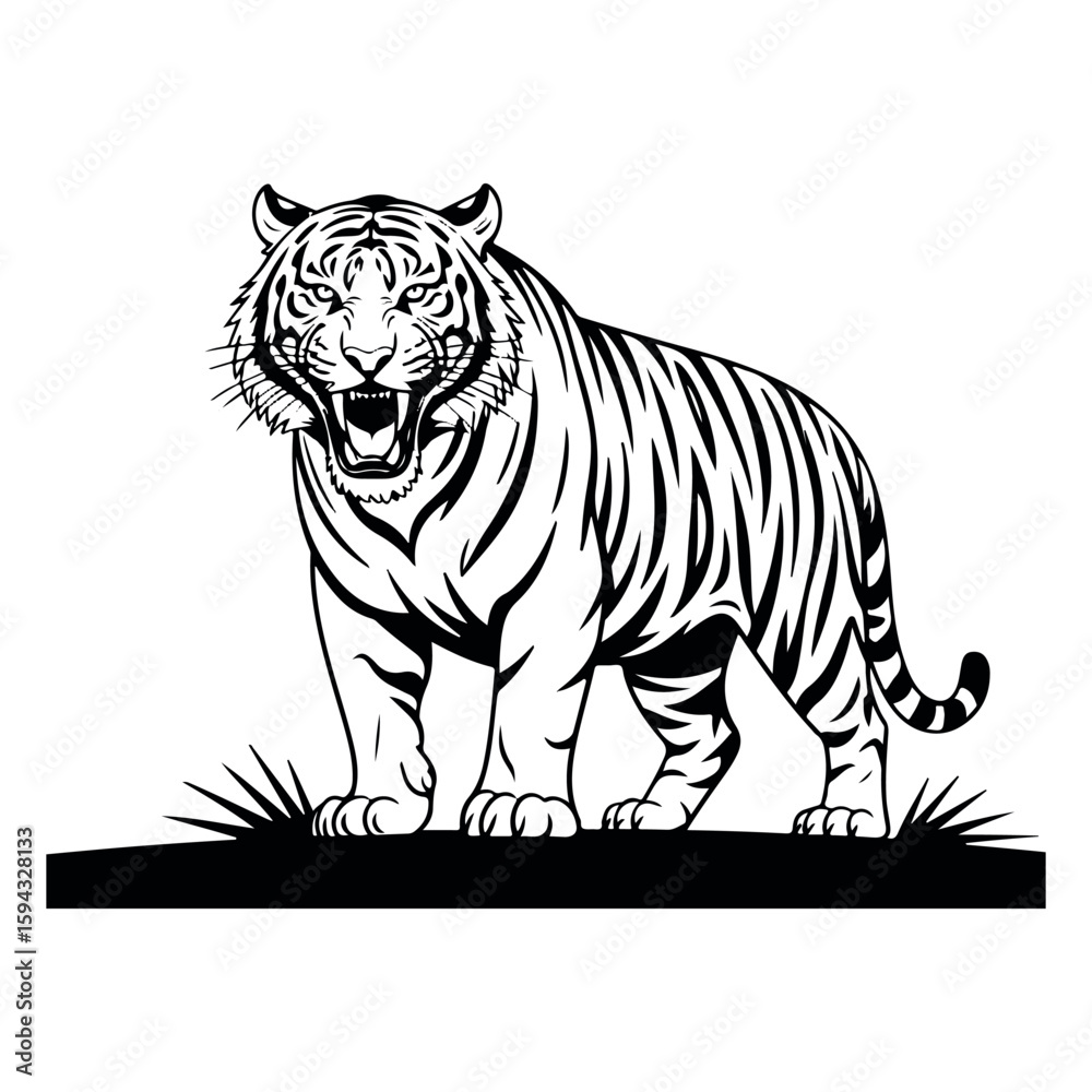 Fototapeta premium Dynamic Black Tiger Vector in Fierce Attack Pose – Perfect for Bold Logos, Streetwear, and Wildlife Branding. Thank You .