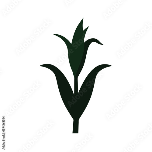 Silhouette of corn stalk with leaves on white background harvest plant crop icon