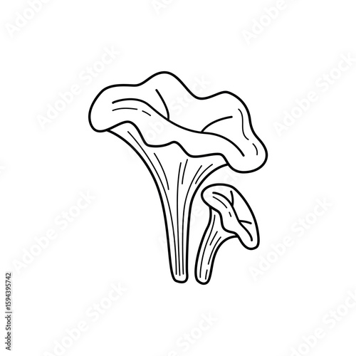 Cute doodle illustration of a chanterelle mushroom in hand drawn style. Perfect for autumn forest designs, food projects and botanical prints. Simple and charming line art.