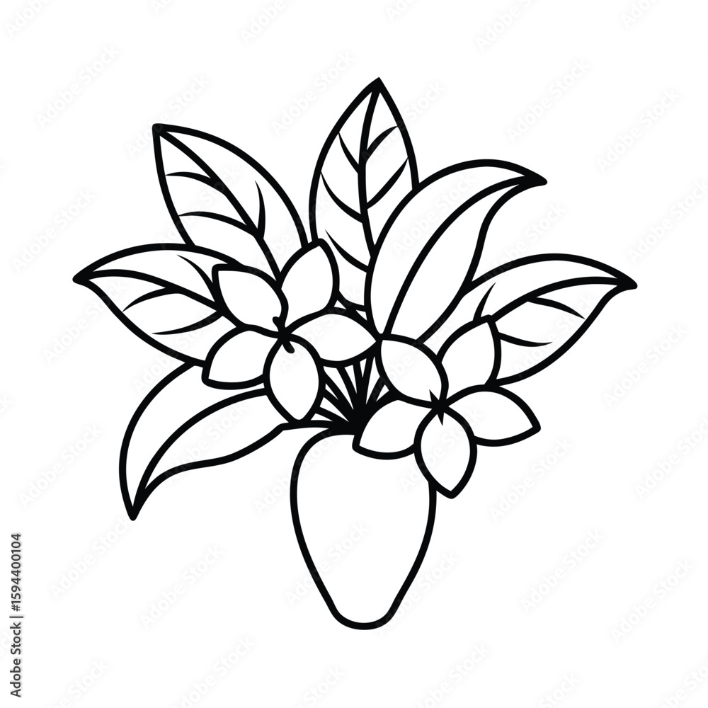 Fototapeta premium vector illustration of a flower