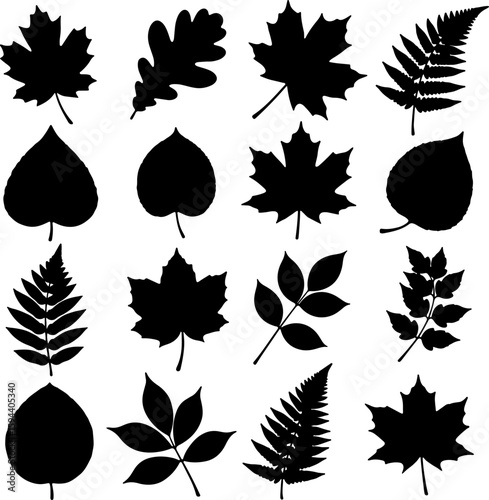 Collection of various deciduous and evergreen leaf shapes in a clean silhouette style