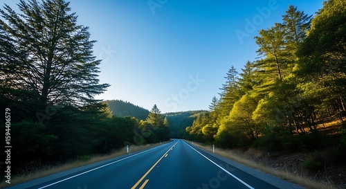 Scenic Drive Along a Highway Through Lush Green Forests on a Sunny Day