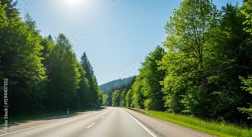 Scenic drive through a lush green forest on a sunny day offering a refreshing escape