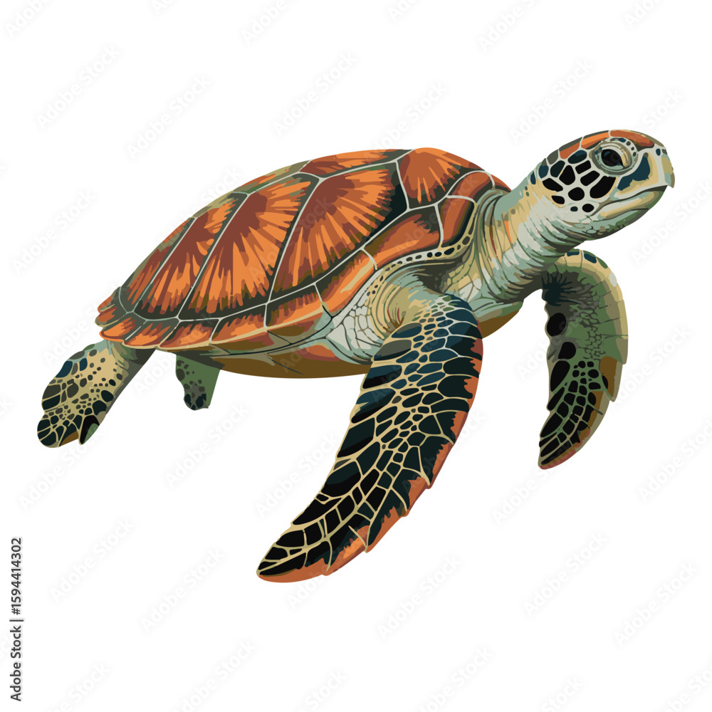 Fototapeta premium Colorful Sea Turtle Vector Illustration – Ocean Wildlife Design