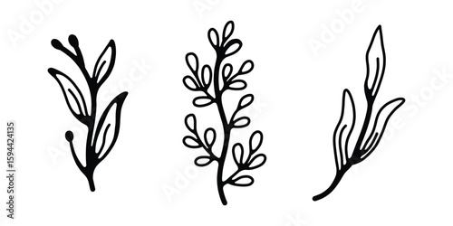 Botanical Line Art Collection, Hand-Drawn Flowers and Leafy Branches