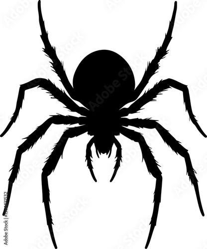 Spooky Spider Silhouette: Perfect for Halloween Decorations, Craft Projects & Creepy-Crawly Themes