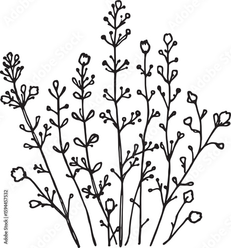 heather line art elegant minimalist design invited simplicity balanced beauty