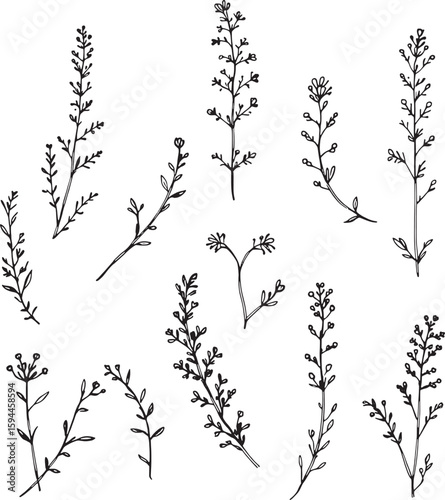 heather line art graceful natural form invited quiet charm gentle flow