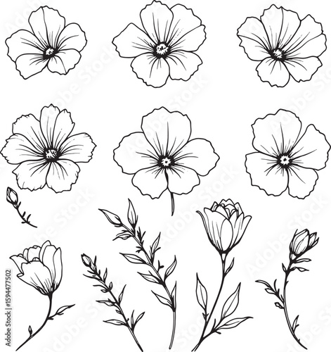 Snapdragon line art refined flower outline; artistic nature invited