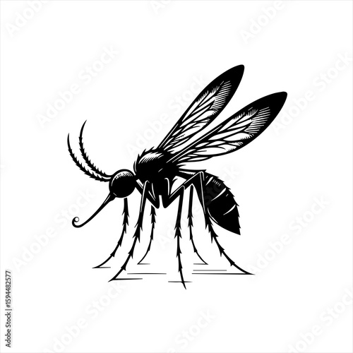Detailed Black Silhouette of a Mosquito 1.