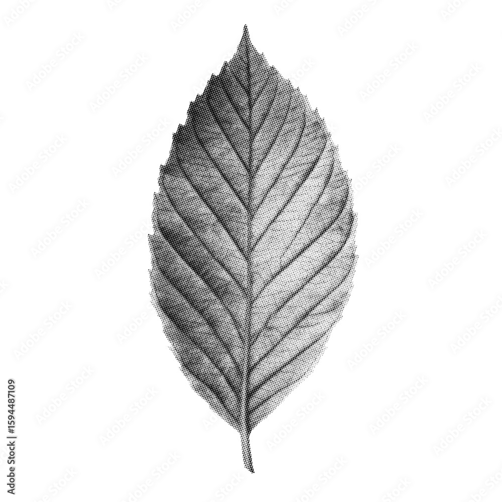 Obraz premium Antique Halftone Engraving of an Ash Leaf with Deep Green Hue Interpreted as Dense Dot Mesh, Crisp Edge Definition, Isolated on Black Background
